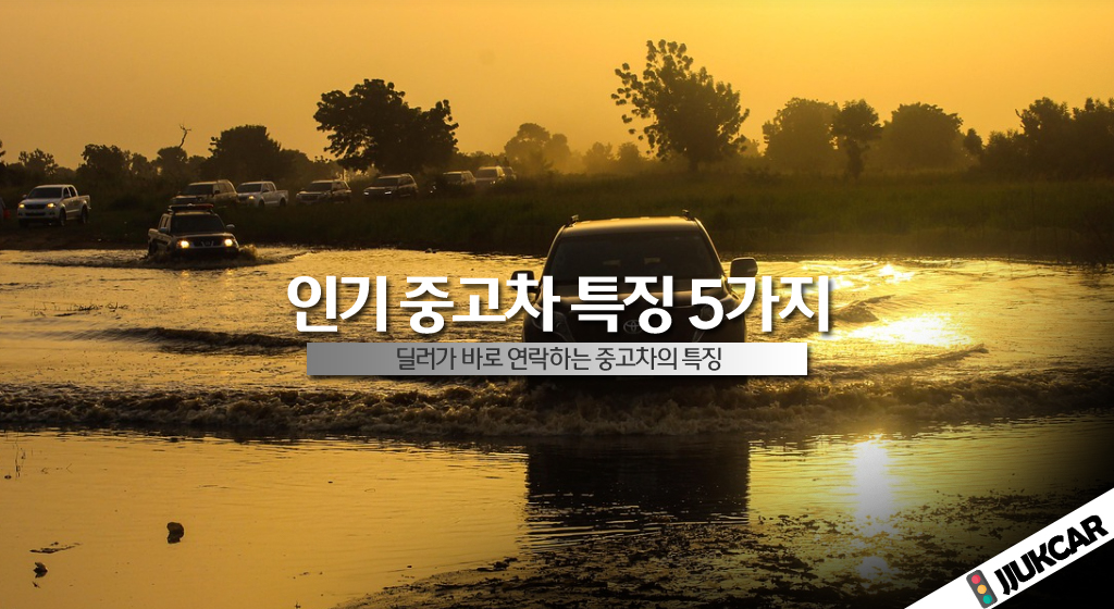 인기 중고차 특징 5가지