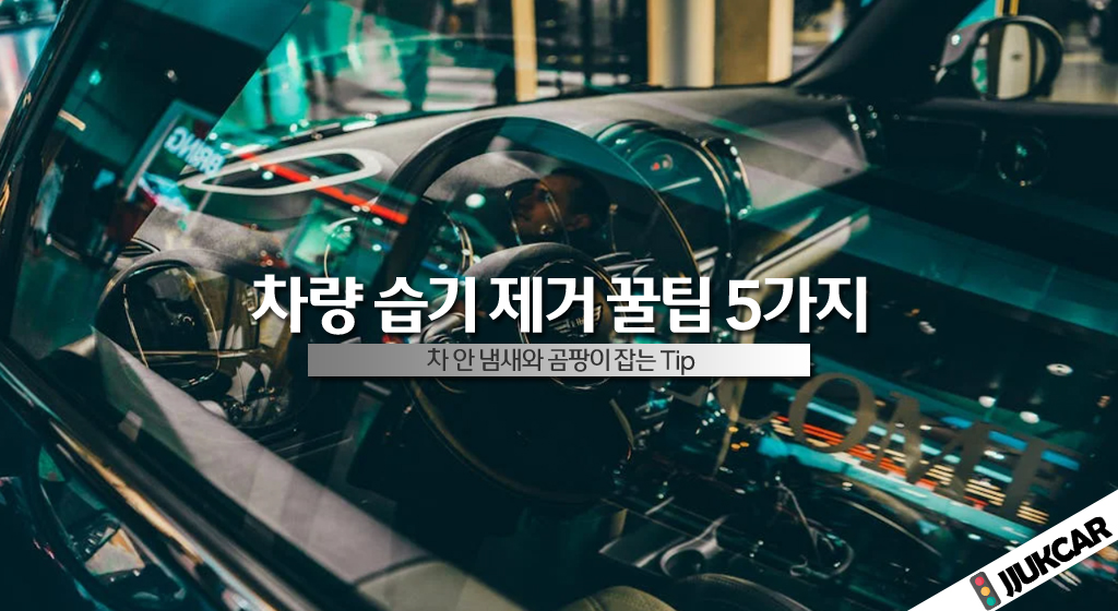 차량 습기 제거 꿀팁 5가지
