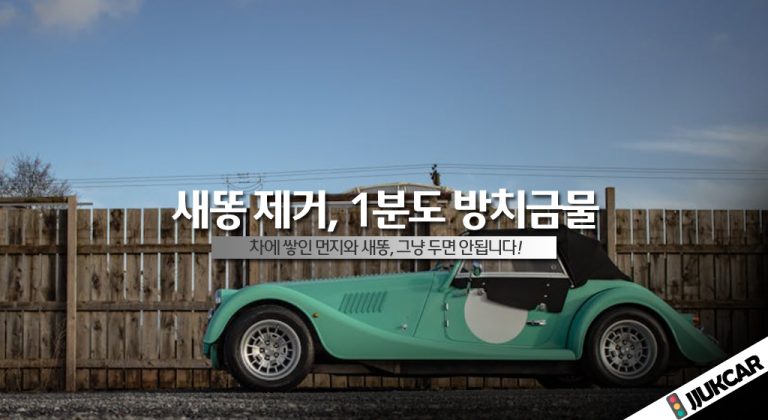 새똥 제거, 1분도 방치금물