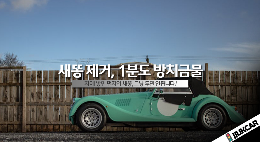 새똥 제거, 1분도 방치금물